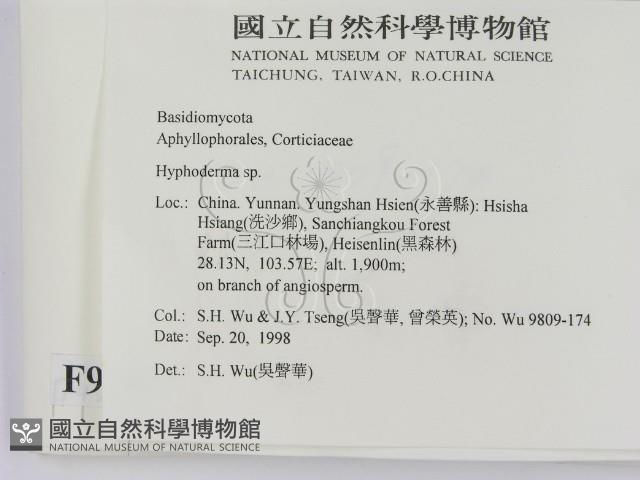 絲皮菌屬藏品圖，第2張