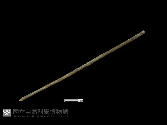 髮簪藏品圖，第1張