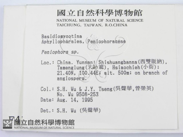 筍殼菌屬藏品圖，第2張