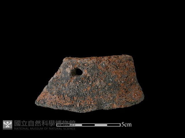 陶罐藏品圖，第1張