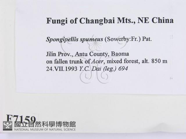 登錄號:F0007159藏品圖，第2張