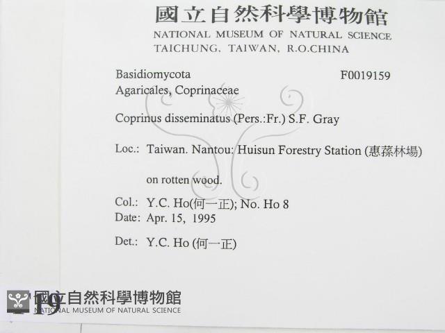 登錄號:F0019159藏品圖，第2張