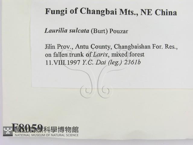 登錄號:F0008059藏品圖，第2張