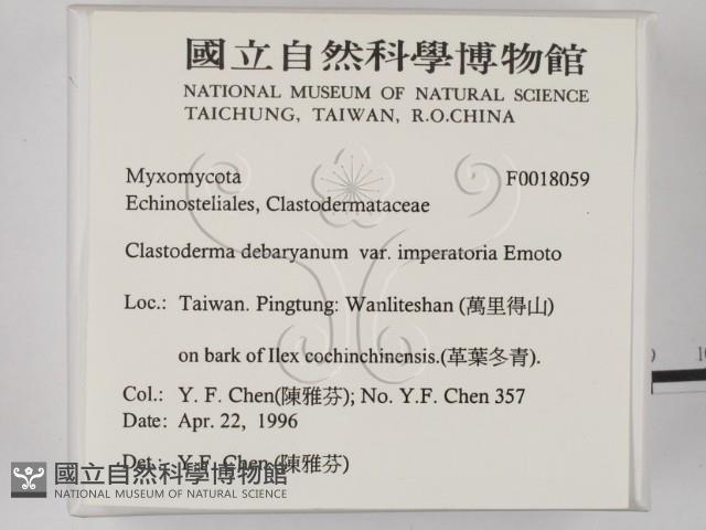 登錄號:F0018059藏品圖，第2張