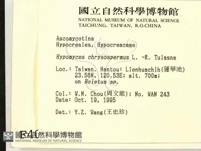 登錄號:F0004059藏品圖，第2張