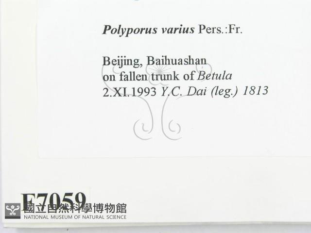 登錄號:F0007059藏品圖，第2張