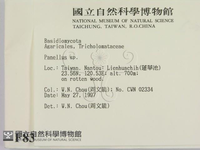 登錄號:F0008359藏品圖，第2張