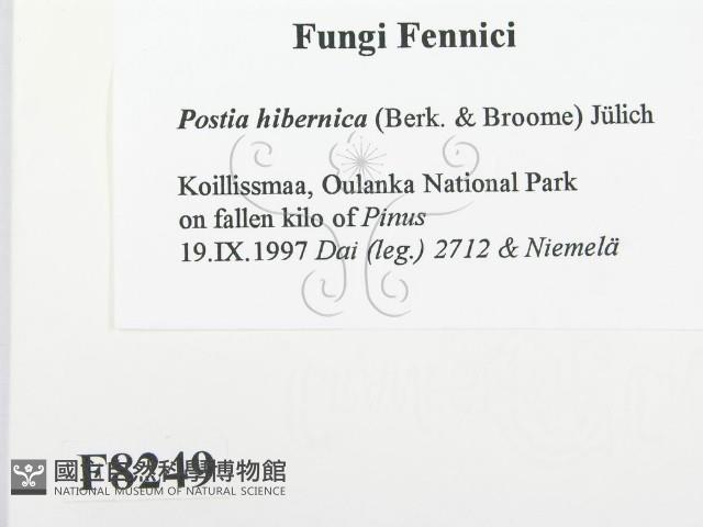 登錄號:F0008249藏品圖，第2張