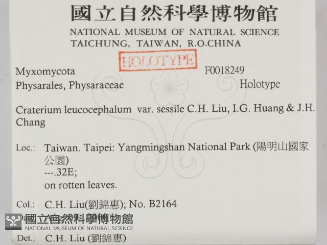 登錄號:F0018249藏品圖，第2張