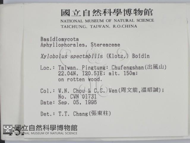 登錄號:F0005249藏品圖，第2張