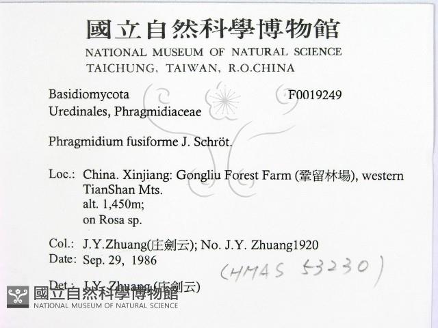 登錄號:F0019249藏品圖，第2張
