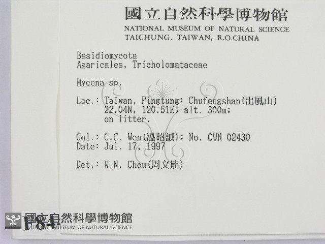 小菇屬藏品圖，第2張