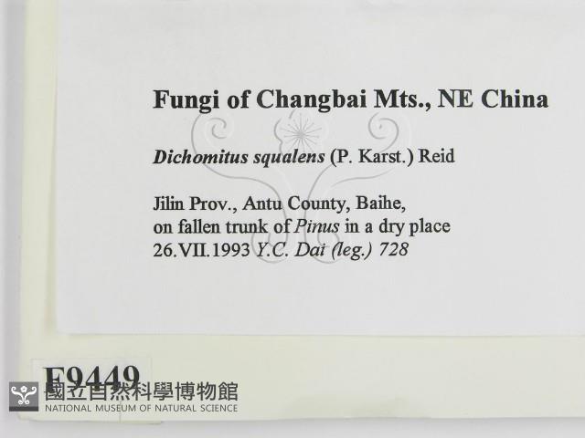 登錄號:F0009449藏品圖，第2張