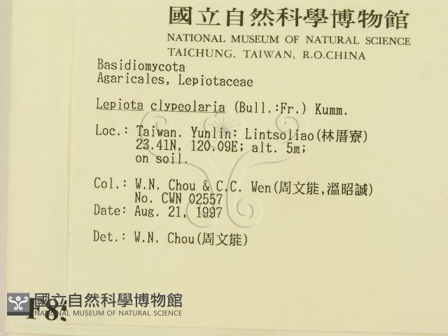 登錄號:F0008549藏品圖，第2張