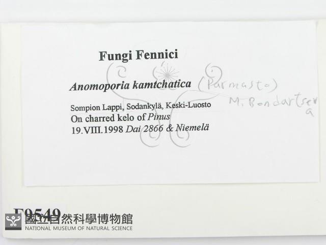 登錄號:F0009549藏品圖，第2張