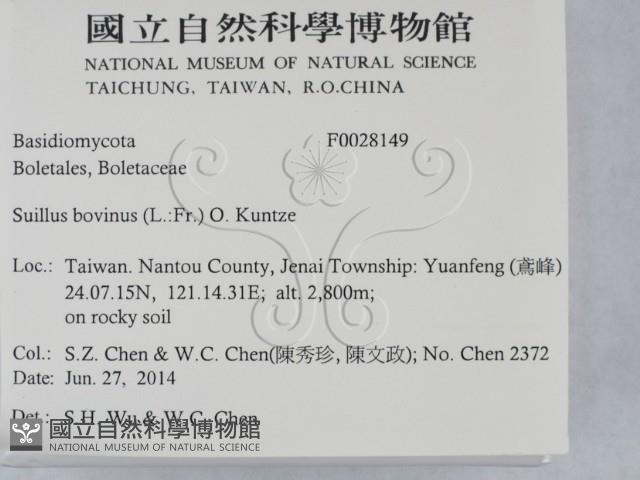 登錄號:F0028149藏品圖，第2張