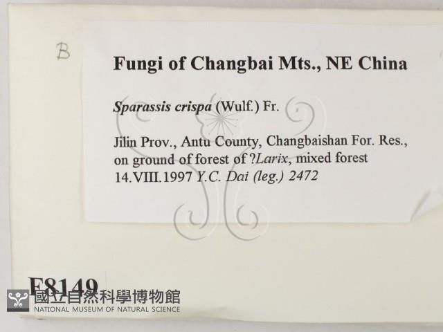 登錄號:F0008149藏品圖，第2張