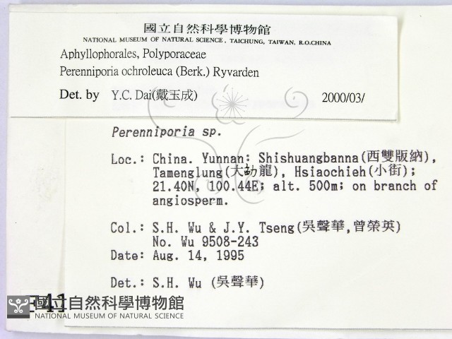 登錄號:F0004149藏品圖，第2張