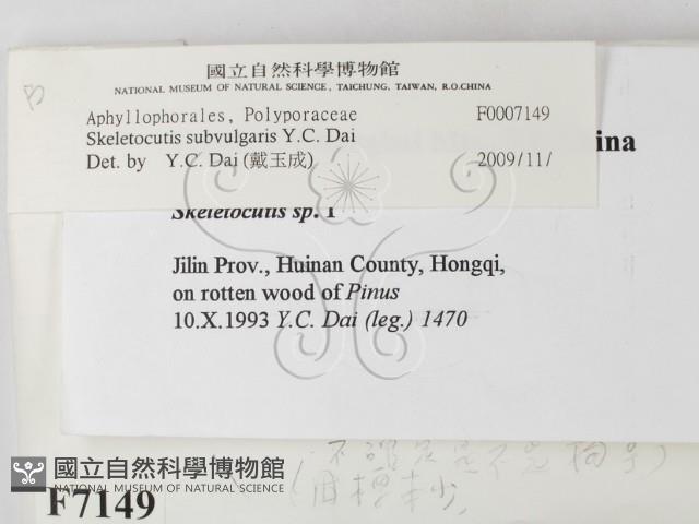 登錄號:F0007149藏品圖，第2張