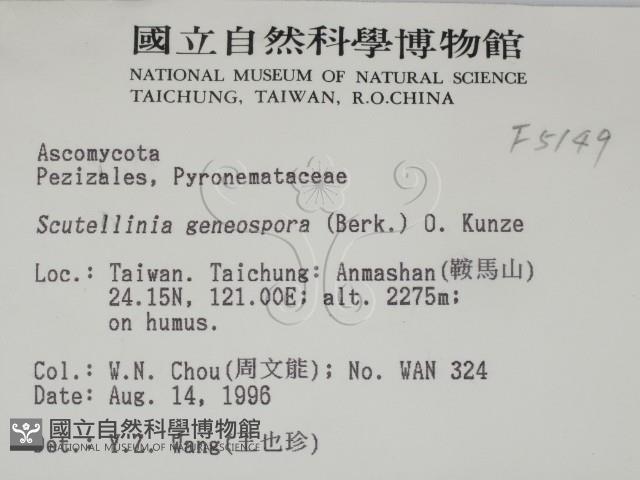 登錄號:F0005149藏品圖，第2張