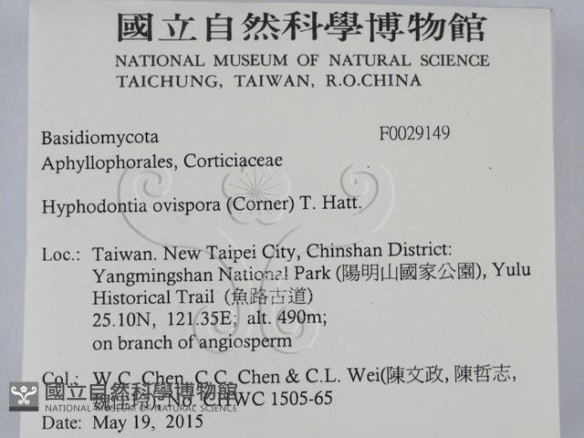 登錄號:F0029149藏品圖，第2張