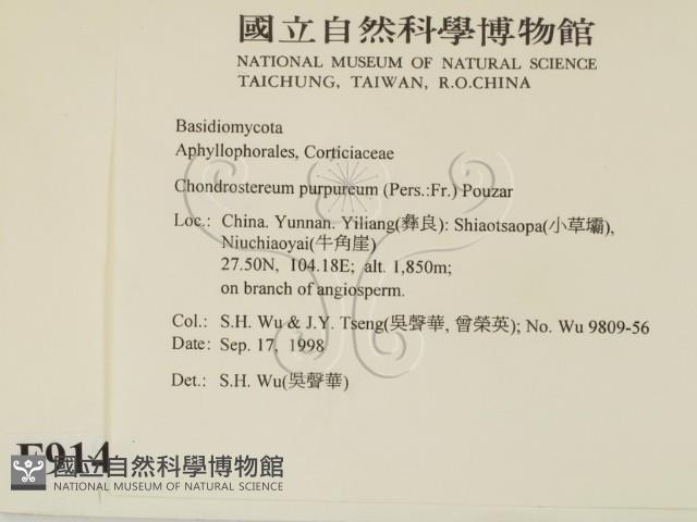 登錄號:F0009149藏品圖，第2張