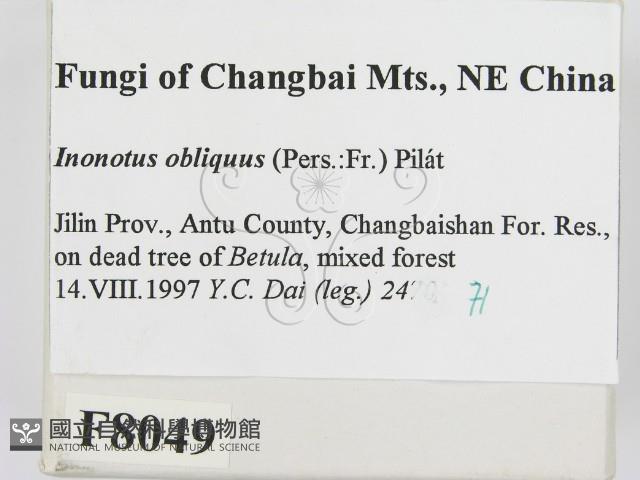 登錄號:F0008049藏品圖，第2張