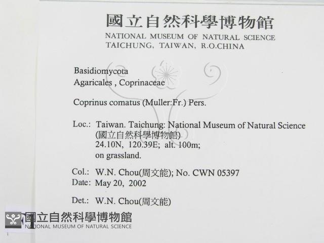 Accession Number:F0016049 Collection Image, Figure 2, Total 3 Figures