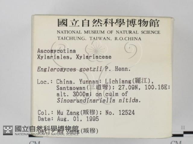 登錄號:F0004049藏品圖，第2張