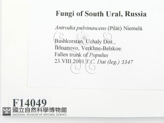 登錄號:F0014049藏品圖，第2張