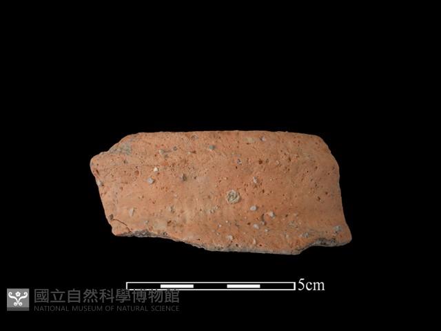 陶罐藏品圖，第1張