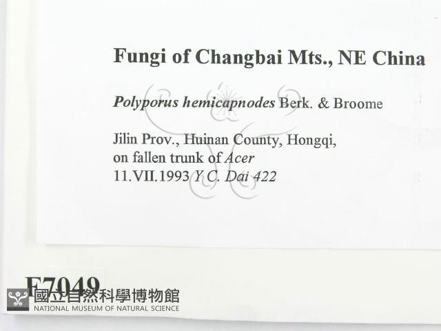 登錄號:F0007049藏品圖，第2張