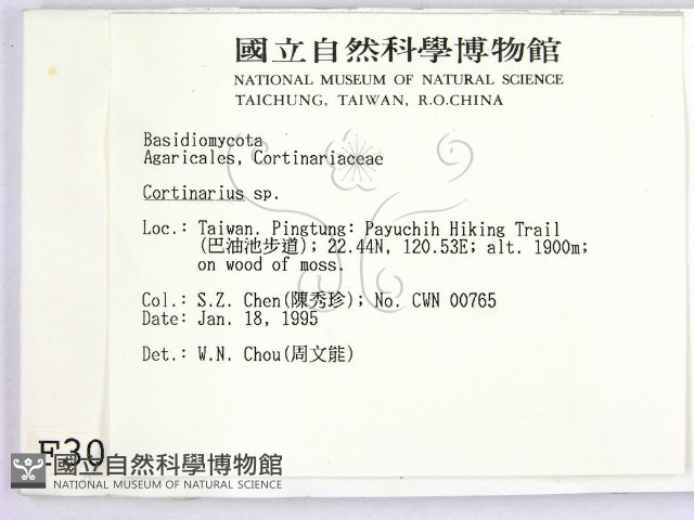 登錄號:F0003049藏品圖，第2張