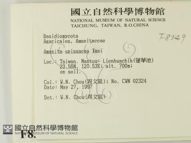 登錄號:F0008349藏品圖，第2張