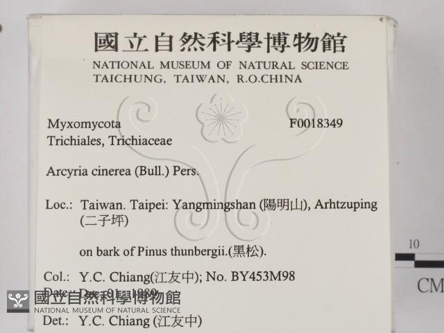 登錄號:F0018349藏品圖，第2張