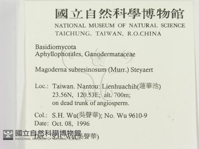 登錄號:F0005349藏品圖，第2張