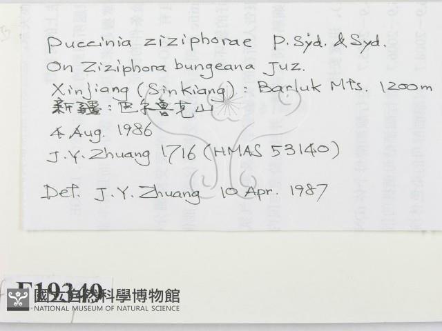 登錄號:F0019349藏品圖，第2張