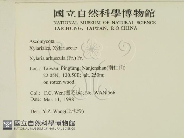 登錄號:F0008299藏品圖，第2張
