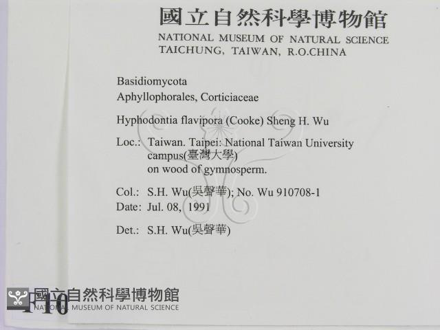 登錄號:F0010299藏品圖，第2張