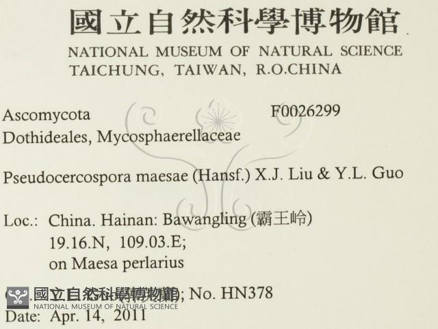 登錄號:F0026299藏品圖，第2張