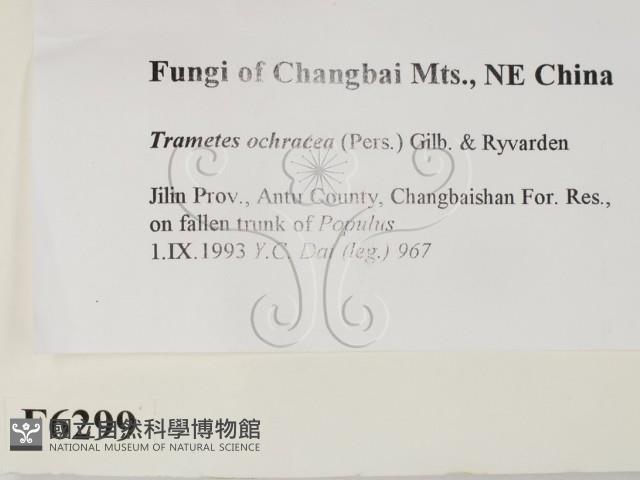 登錄號:F0006299藏品圖，第2張