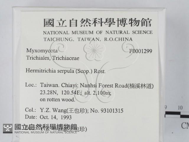 登錄號:F0001299藏品圖，第2張