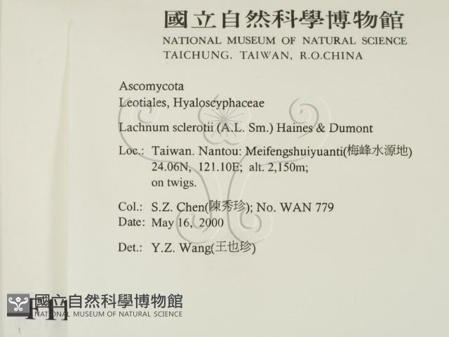 登錄號:F0011299藏品圖，第2張