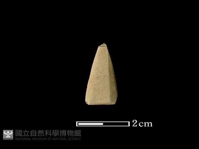 矛鏃形器藏品圖，第2張