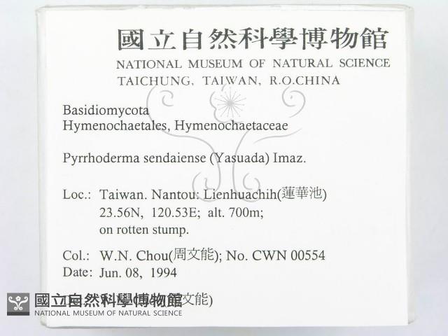 登錄號:F0002299藏品圖，第2張