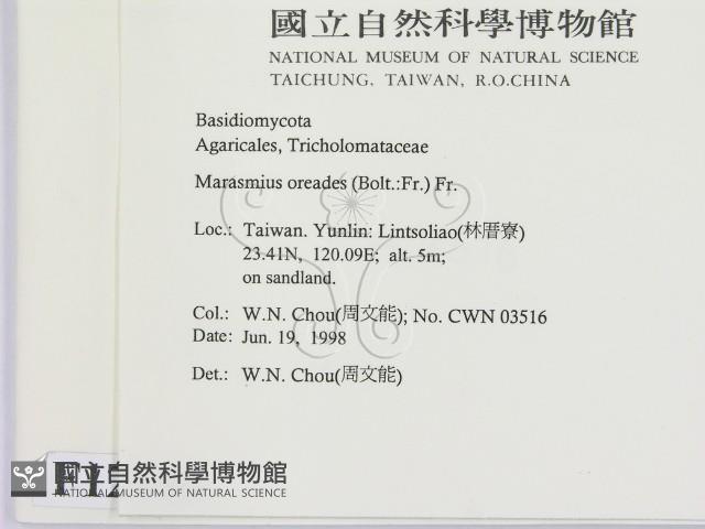 登錄號:F0012299藏品圖，第2張
