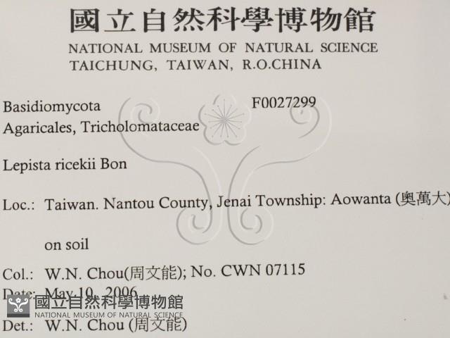 登錄號:F0027299藏品圖，第2張