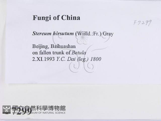 登錄號:F0007299藏品圖，第2張