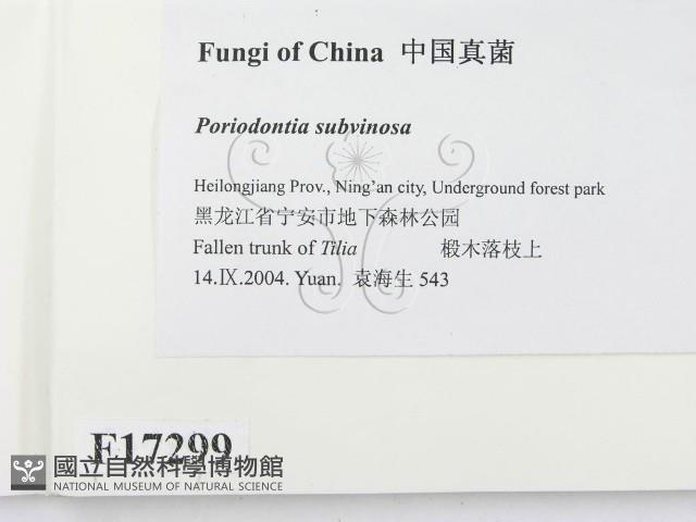 登錄號:F0017299藏品圖，第2張