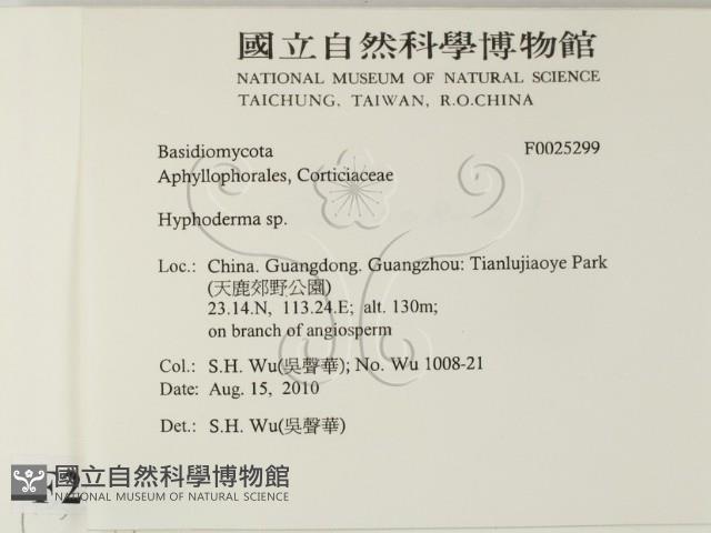 絲皮菌屬藏品圖，第2張